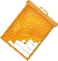 Honey Production